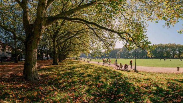 Jasne Błonia w Szczecinie