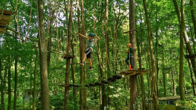 Park Linowy Tarzania