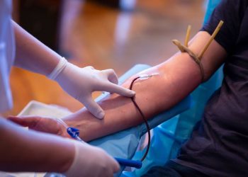 gdzie oddać krew w Szczecinie