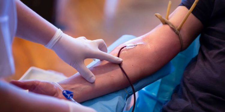 gdzie oddać krew w Szczecinie