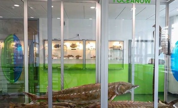 Muzeum Ichtiologiczne