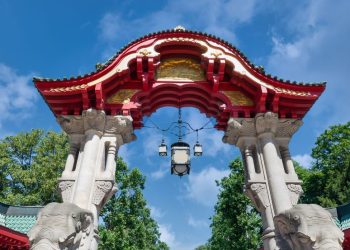 Ogród zoologiczny - Zoo w Berlinie