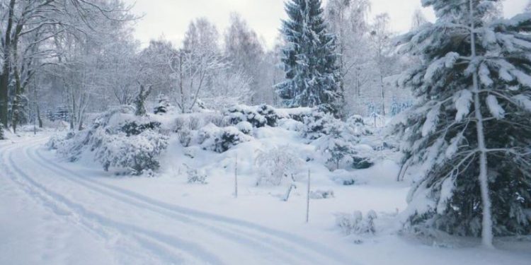 Szczecińska Gubałówka