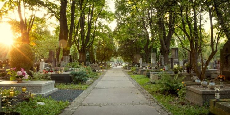 Wszystkich Świętych w Szczecinie 2024 - godziny otwarcia cmentarzy, handel oraz porządek organizacyjny
