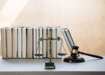 Spis komorników Szczecin