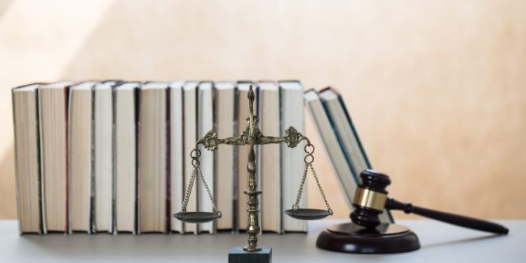 Spis komorników Szczecin