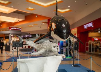 Wystawa Olbrzymy oceanów OMNI Molo Szczecin