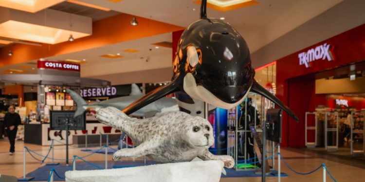 Wystawa Olbrzymy oceanów OMNI Molo Szczecin