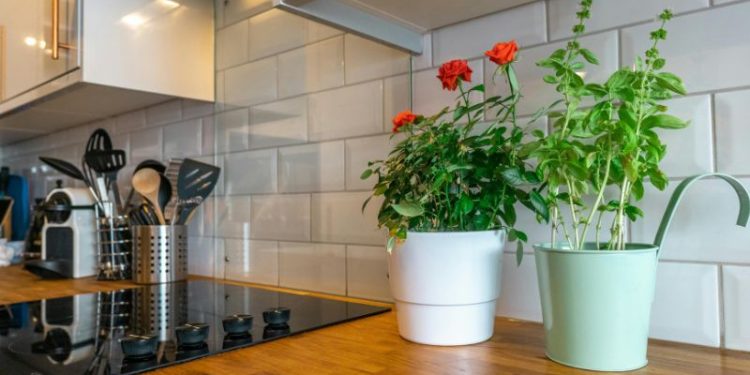 Kuchnia z charakterem. Zobacz co jest modne - trendy 2025