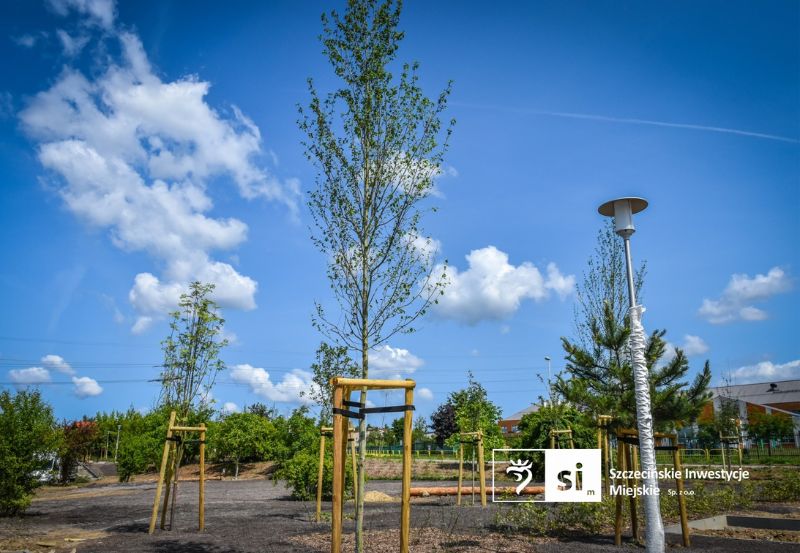 Sadzenie drzew - park przy ul. Złotowskiej w Szczecinie