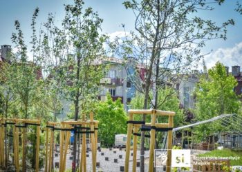 Zielona rewolucja na Złotowskiej. Zakończono sadzenie drzew w nowym parku w Szczecinie