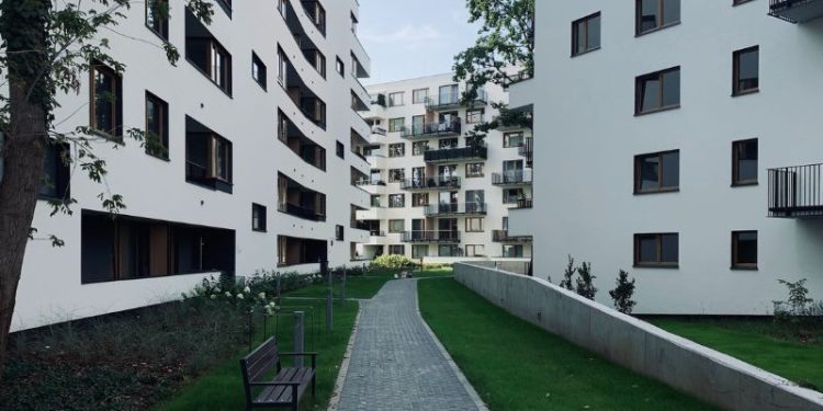 Czego dowiesz się z księgi wieczystej?