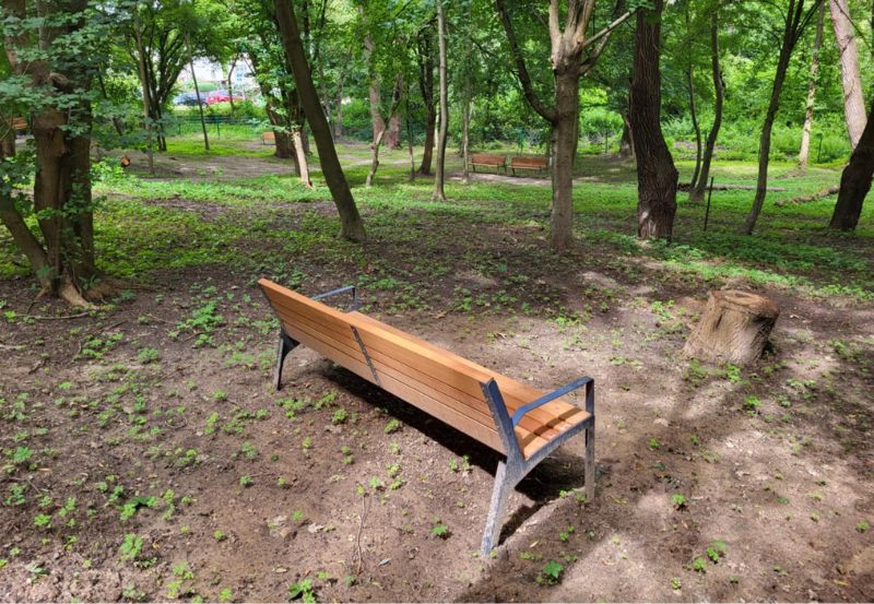 Ławka na psiej polanie