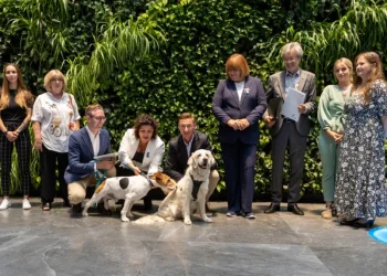 Pieniądze dla bezdomnych zwierząt w Szczecinie