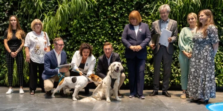 Pieniądze dla bezdomnych zwierząt w Szczecinie