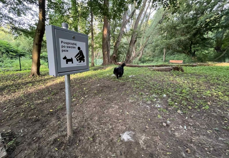 Psia Polana w Parku Brodowskim w Szczecinie