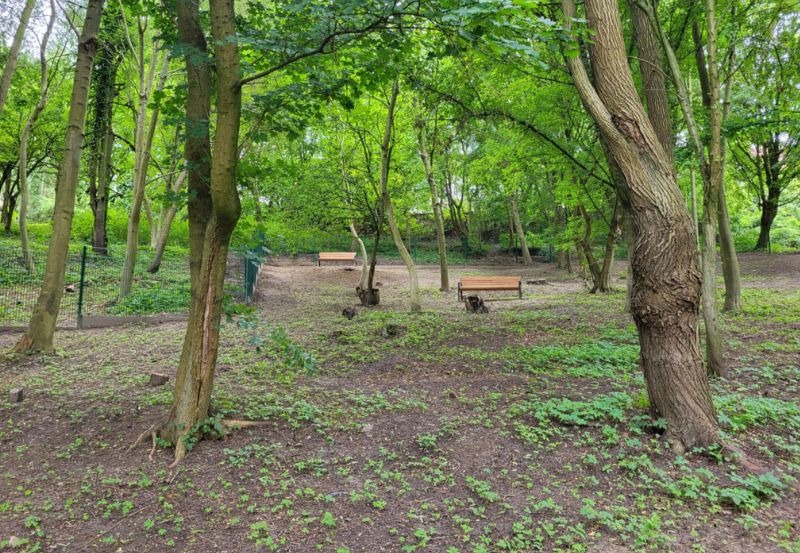 Psia Polana Szczecin