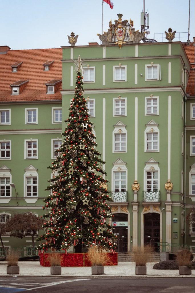choinka pod urzędem miasta w Szczecinie