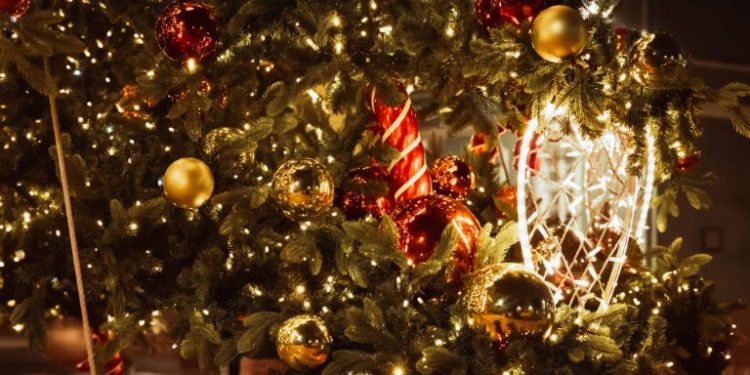 Świąteczna Choinka w Szczecinie już stoi. Nowe drzewko, stare emocje i… trochę dyskusji