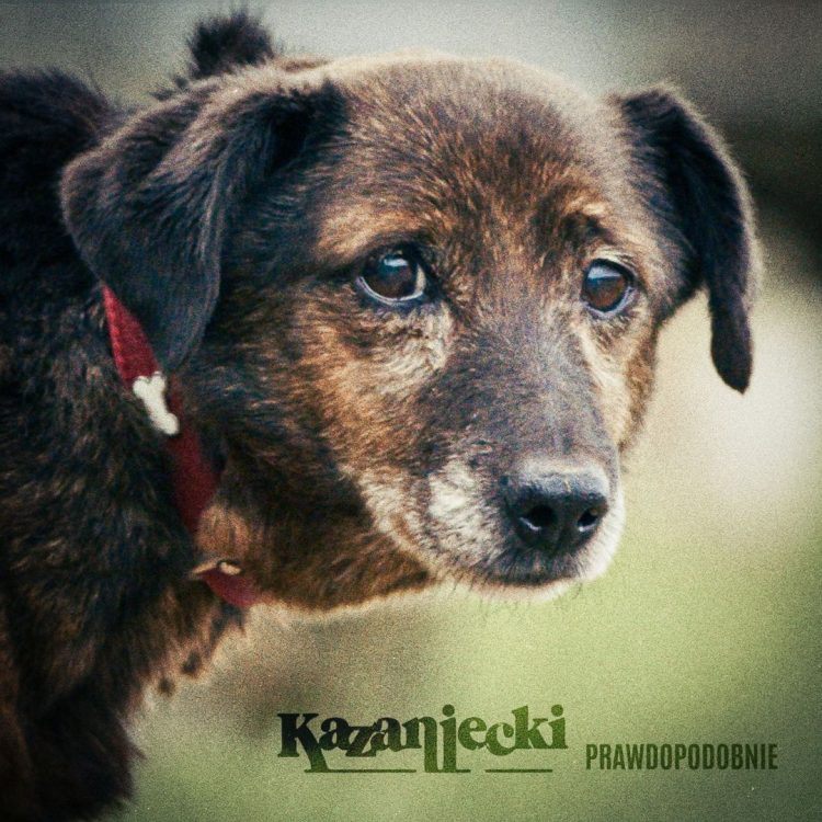 Kazaniecki - prawdopodobnie - singiel