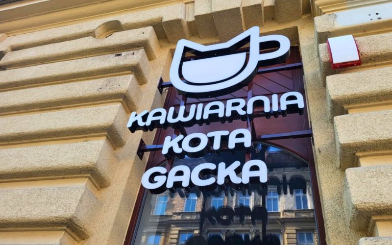 Kawiarnia Kota Gacka