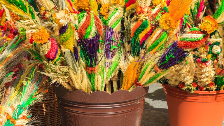 Niedziela Palmowa Szczecin