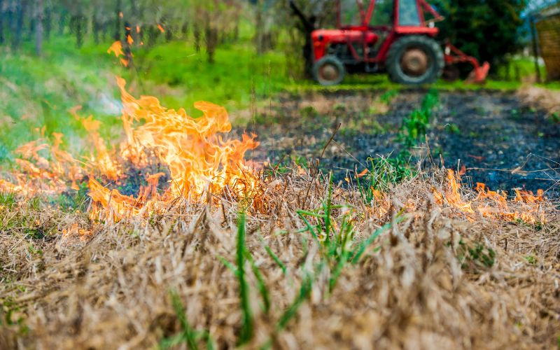 Zdjęcie przedstawia wypalanie trawy i traktor w tle