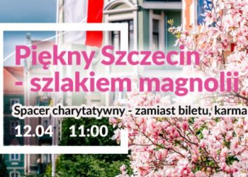 Magnoliowy spacer w Szczecinie już 12 kwietnia. Wystarczy karma dla kotów i chęć do wiosennego spaceru