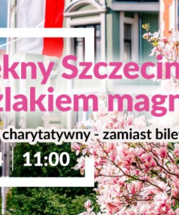 Magnoliowy spacer w Szczecinie już 12 kwietnia. Wystarczy karma dla kotów i chęć do wiosennego spaceru