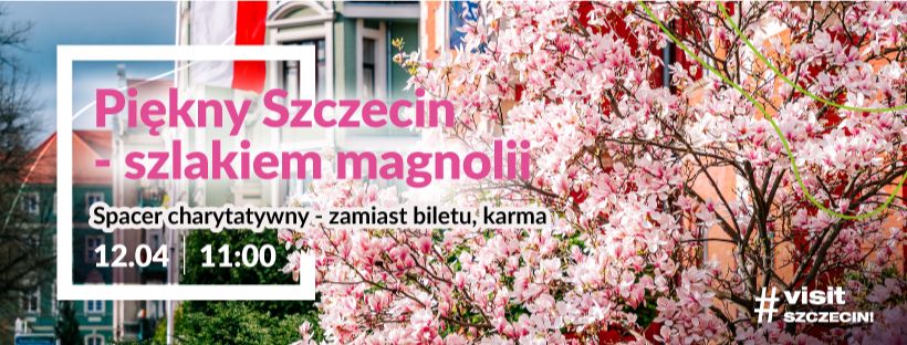 Piękny Szczecin szlakiem Magnolii - spacer