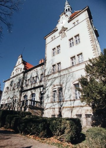 Jak przygotować się do matury w Szczecinie by uzyskać najlepsze wyniki?