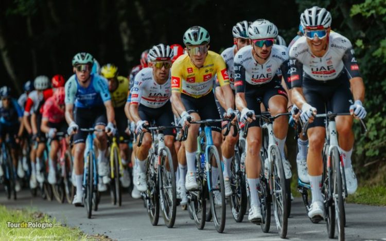 Kolarze podczas wyścigu Tour de Pologne