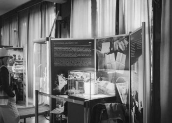 Świetlica Wolności w Szczecinie otwarta co tydzień. Historyczne miejsce będzie można zwiedzać za darmo