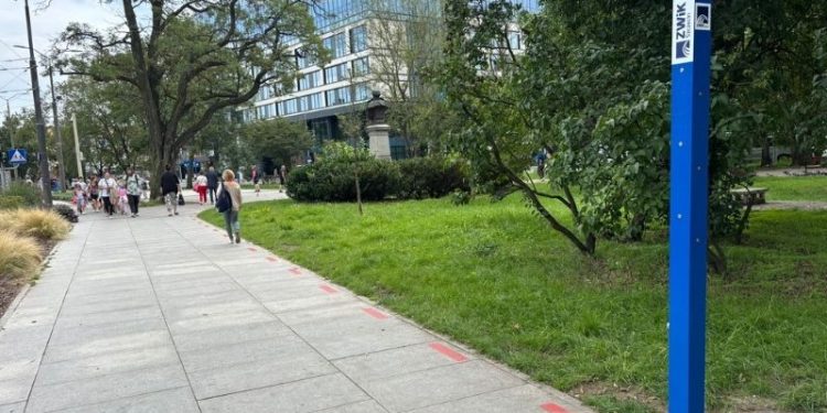 Upały w Szczecinie. Miasto uruchamia kurtyny wodne i przypomina o poidełkach