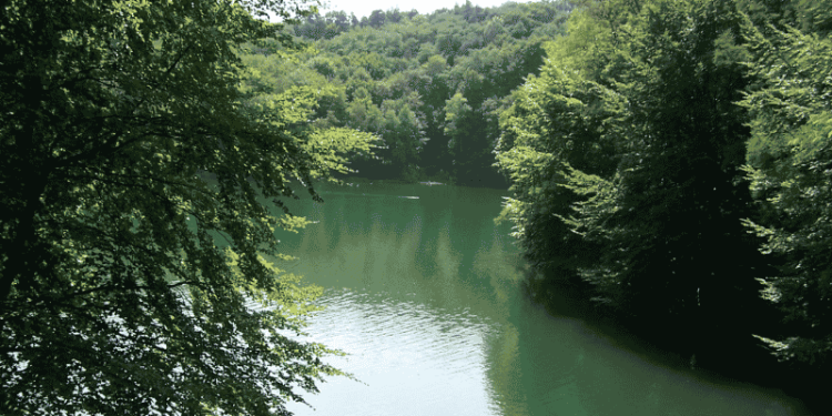 Puszcza Bukowa i Szczeciński Park Krajobrazowy: gdzie to jest i co obejmuje