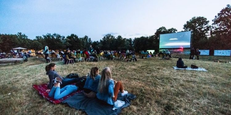 Plenerowe Kino na Leżakach w Szczecinie. Znamy program seansów na lato 2026