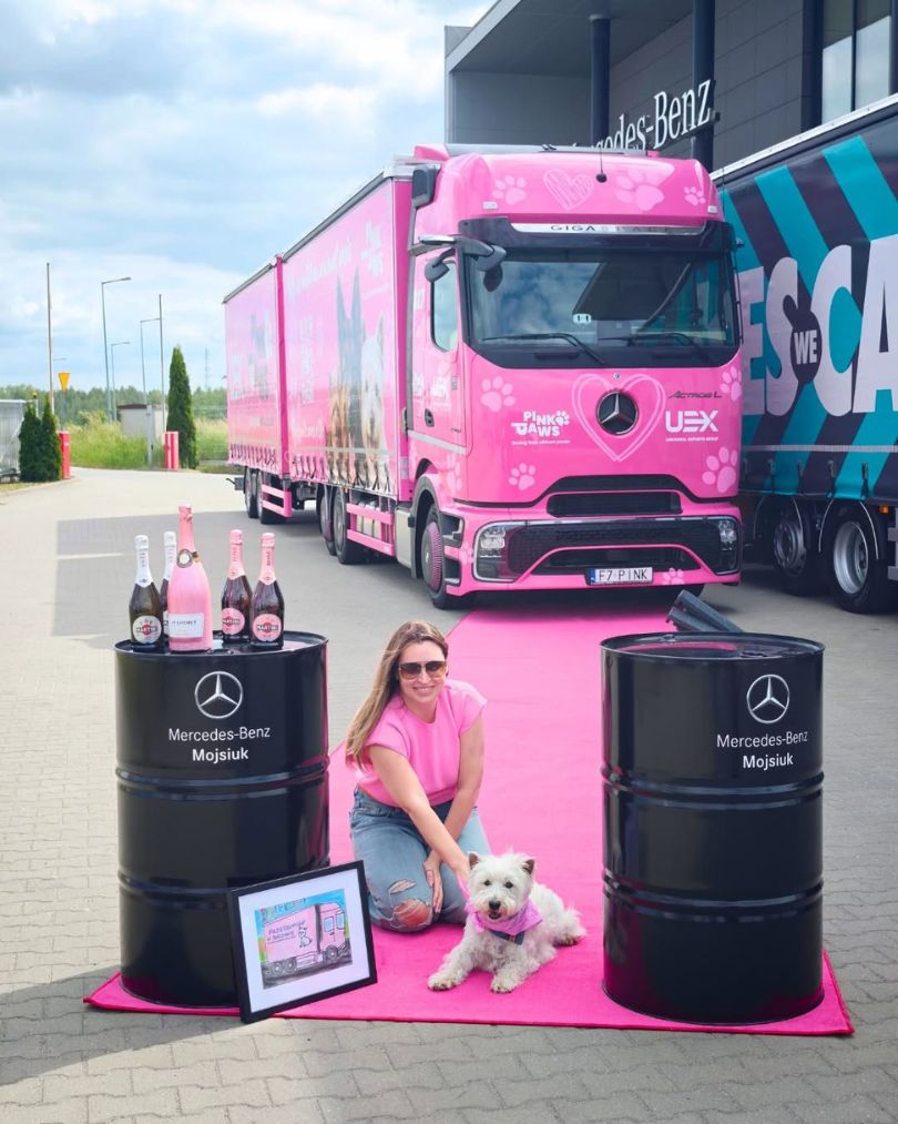 Różowy Mercedes Actros i fundacja dla psów Pink Paws