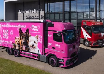 Różowy Mercedes Actros rusza w trasę dla psów. Za kierownicą Artdrive, a za projektem Fundacja Pink Paws