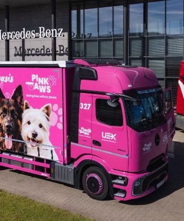 Różowy Mercedes Actros rusza w trasę dla psów. Za kierownicą Artdrive, a za projektem Fundacja Pink Paws