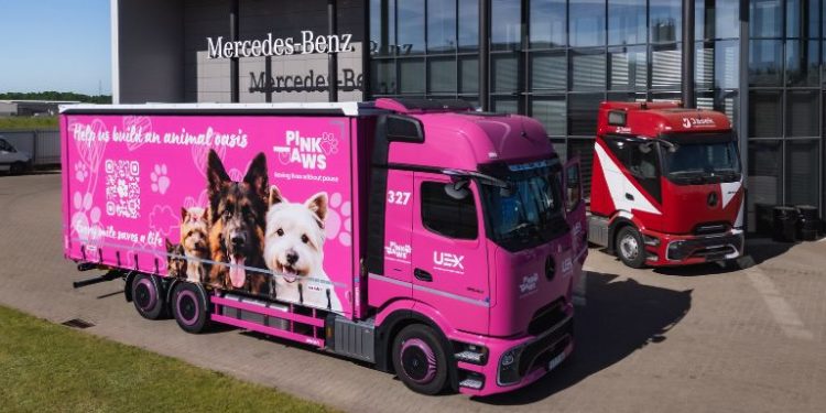 Różowy Mercedes Actros rusza w trasę dla psów. Za kierownicą Artdrive, a za projektem Fundacja Pink Paws