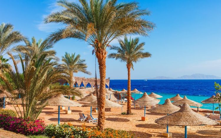 Egipt - Sharm el Sheik