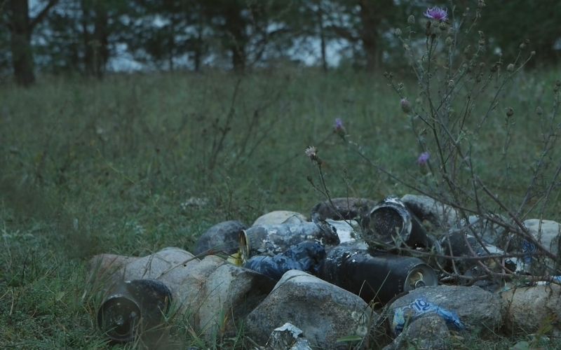 OKNO 2026 w Teatrze KANA. Praktyki postartystyczne, Odra, poniemieckość i migracja