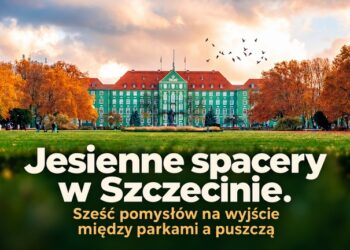 Jesienne spacery w Szczecinie. Sześć pomysłów na wyjście między parkami a puszczą
