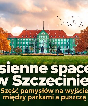 Jesienne spacery w Szczecinie. Sześć pomysłów na wyjście między parkami a puszczą