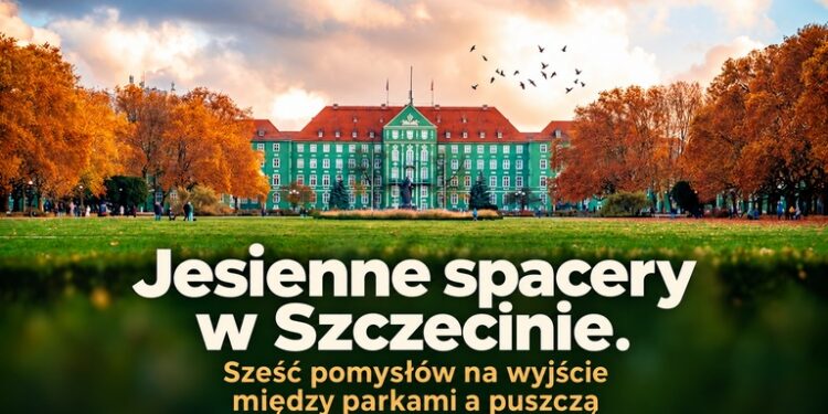 Jesienne spacery w Szczecinie. Sześć pomysłów na wyjście między parkami a puszczą